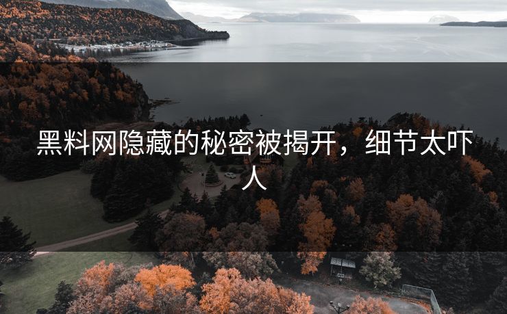 黑料网隐藏的秘密被揭开，细节太吓人