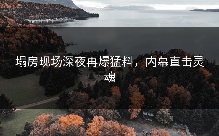塌房现场深夜再爆猛料，内幕直击灵魂