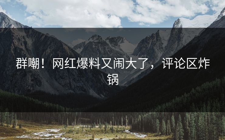 群嘲！网红爆料又闹大了，评论区炸锅