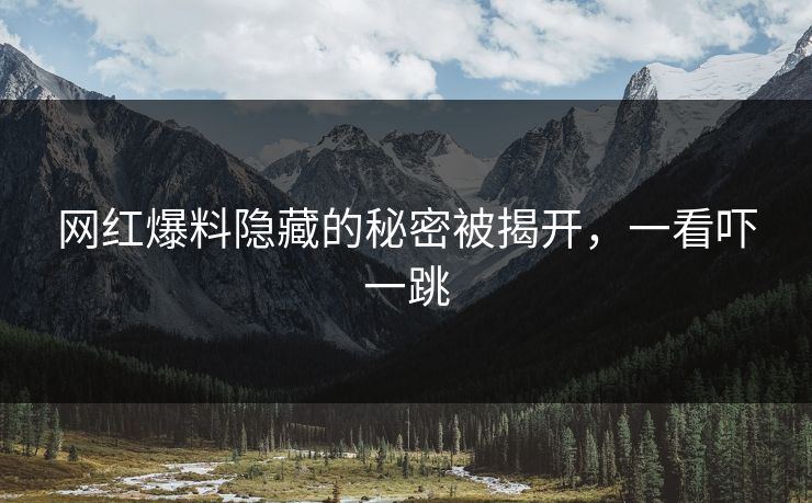 网红爆料隐藏的秘密被揭开，一看吓一跳