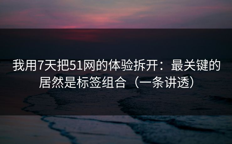 我用7天把51网的体验拆开：最关键的居然是标签组合（一条讲透）