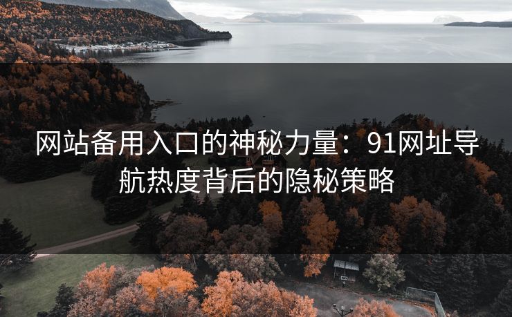 网站备用入口的神秘力量：91网址导航热度背后的隐秘策略